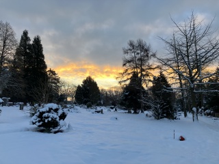 Frohes Neues und Absage wg. Schnee